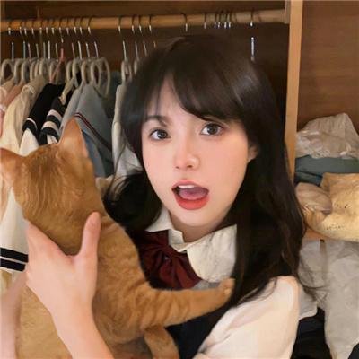 玫瑰围墙